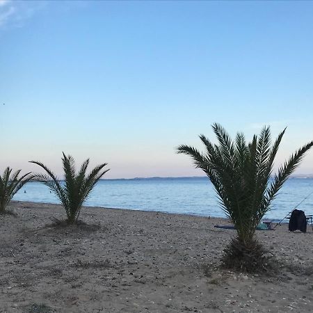Park Apartment Paralia Dionysiou Luaran gambar
